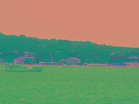 IMGP2751 edited (Medium)